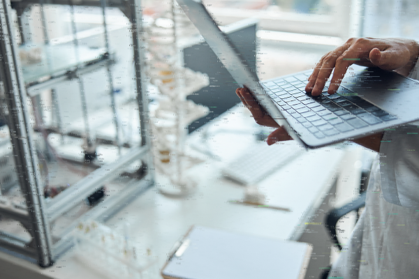 Â© Viacheslav Lakobchuk - stock.adobe.com - 373579941 (1) - Copie